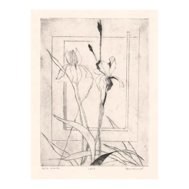 David Baird Iris Etching For Sale