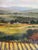 Traditional Landscape Vineyards Oil Painting For Sale - Image 3 of 13