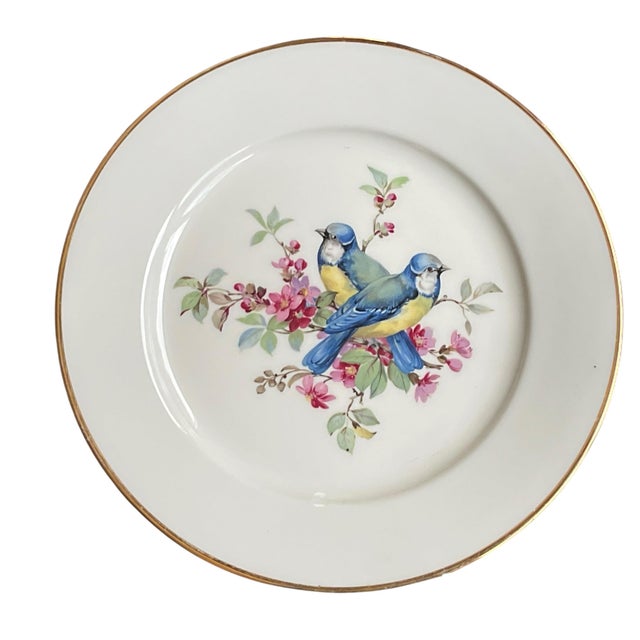 Beautiful set of vintage mid century porcelain plates featuring 6 pairs of richly colored birds. Each plate is marked “JKW...