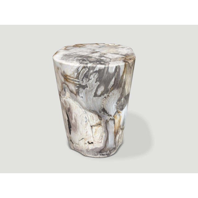 Andrianna Shamaris Ancient Petrified Wood Side Table For Sale - Image 4 of 6