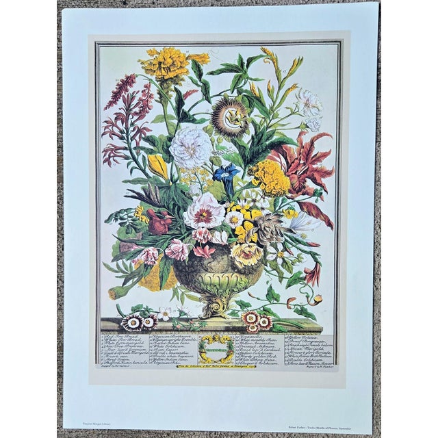 1980s Vintage Robert Furber September Botanical From "Twelve Months of Flowers” Pierpont Morgan Library Print For Sale - Image 10 of 12