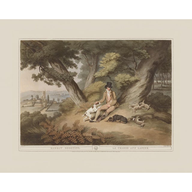 Rabbit Shooting- Giclee Print From British Field Sports For Sale