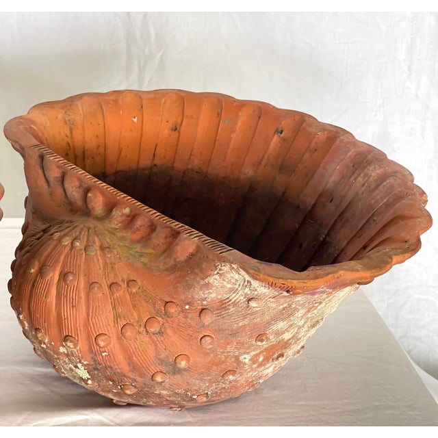 Terra Cotta French Antique Set of Three Terracotta Large Shell Planters, 1940s For Sale - Image 8 of 18