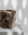 19th Century European Wooden Mortar For Sale - Image 16 of 18