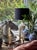 An ideal item for adding a touch of traditional vintage to your sideboard, dining table, game night table, decorative...