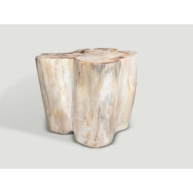 Wood Andrianna Shamaris Impressive High Quality Ancient Petrified Wood Side Table For Sale - Image 7 of 7