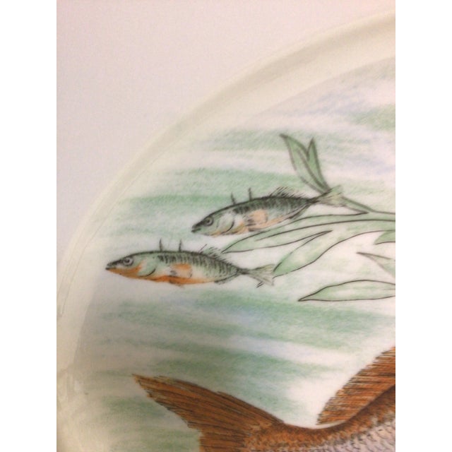 Hand Painted Porcelain Fish Serving Platter by J K W West German 1930's For Sale - Image 10 of 12
