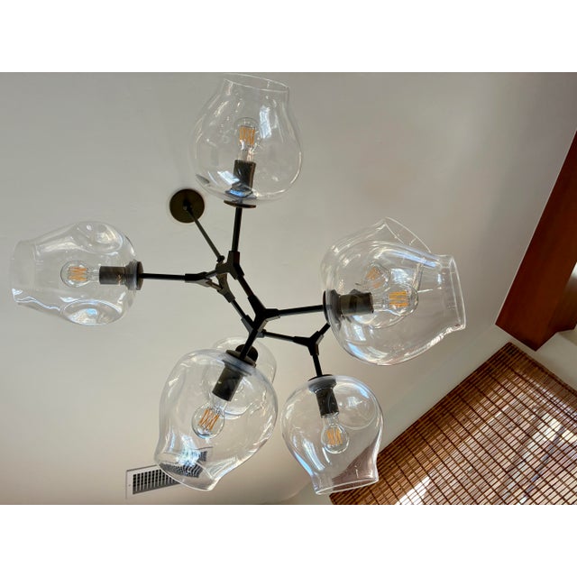 Lindsey Adelman Studio Branching Bubble Chandelier, Model bb.07.59 For Sale In San Diego - Image 6 of 7
