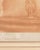 Wood 1900 - 1909 France Sienna Wood Painting For Sale - Image 7 of 15