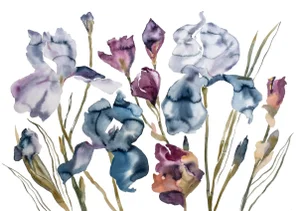 "Irises No. 2" Contemporary Original Botanical Flowers Watercolor Painting by Elizabeth Becker