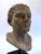 Neoclassical 1990s Classical Greco Roman-Style Portrait Bust, on Stand For Sale - Image 3 of 12