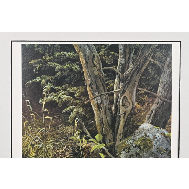 Original Signed Persis Clayton Weirs "Dancing Water Loons" Framed Lithograph, 1994 For Sale In South Bend - Image 6 of 13