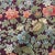 Mid 20th Century Mid-Century Style Vintage Colorful Floral Jacquard Upholstery Fabric in Burgundy For Sale - Image 5 of 10