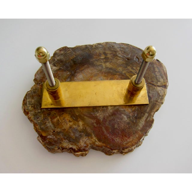 Large Door Handle in Fossilized Wood Stone, 1970s For Sale - Image 4 of 5