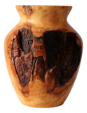 Vintage Burl Wood Vase