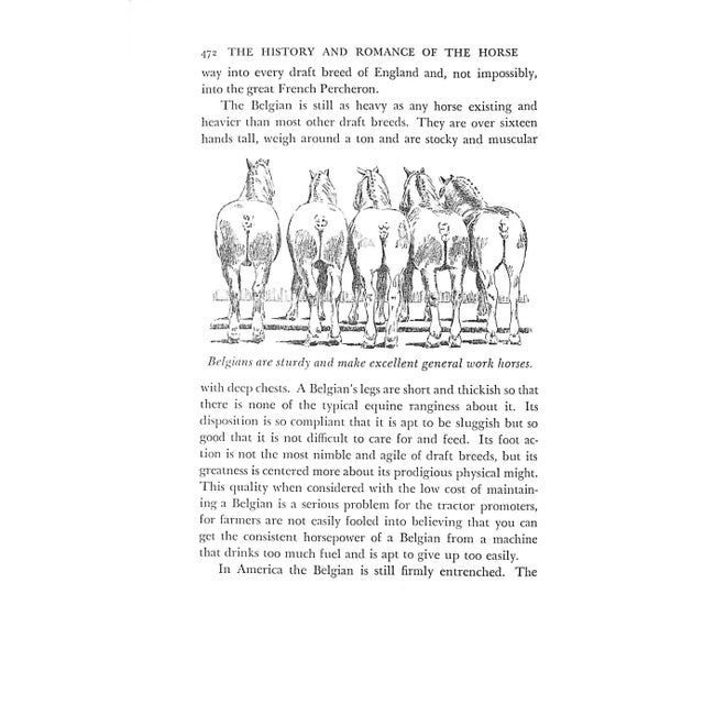 "The History and Romance of the Horse" 1941 Vernon, Arthur For Sale - Image 10 of 15