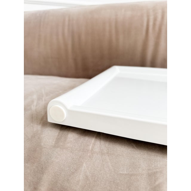 Plastic Vintage Jolly Multi-Purpose Tray by Luigi Massoni for Guzzini, Italy, 1970s For Sale - Image 7 of 18