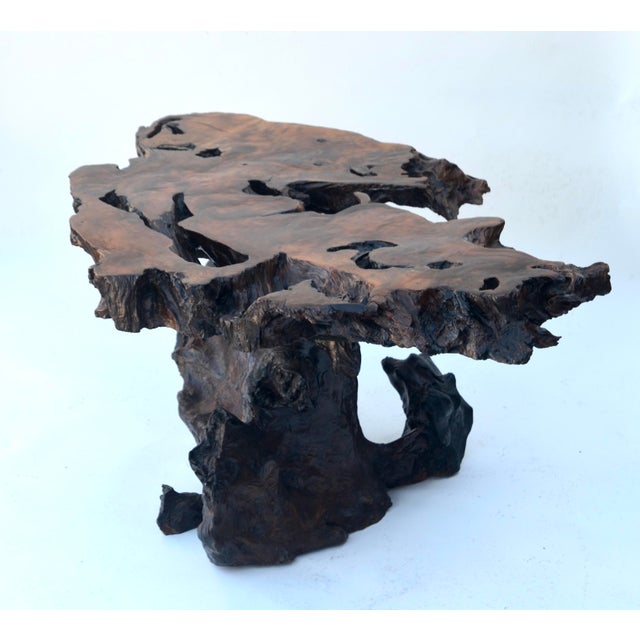 1960s Redwood Burl Coffee Table For Sale - Image 4 of 7
