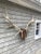 1990s 1990s Elk Head Wood and Antler Trophy Wall Decor For Sale - Image 5 of 10