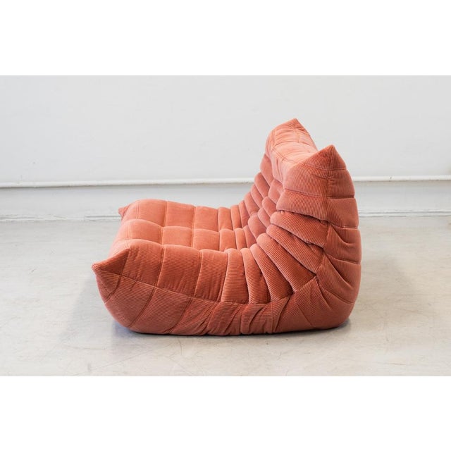 Togo Two-Seat Sofa in Coral Corduroy by Michel Ducaroy for Ligne Roset For Sale - Image 6 of 12