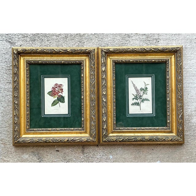 Vintage Framed Botanical Floral Prints - A Pair For Sale - Image 4 of 12