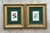 Vintage Framed Botanical Floral Prints - A Pair For Sale - Image 4 of 12