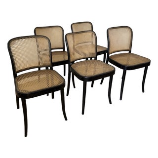 Black Bentwood Chairs With Pigskin by Thonet Josef Hoffmann For Sale