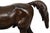 French Bronze Sculpture of Arabian Stallion “Rainbow” by Christophe Fratin For Sale - Image 10 of 17