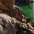 Contemporary Into the Reflections by Jon Doran | Oil on Panel Swimmer on Sunlit Rocks by the Sea For Sale In Denver - Image 6 of 9