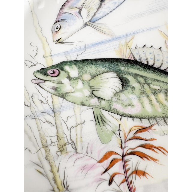 Ceramic Plates with Fish Decoration, France, 1970s, Set of 3 For Sale - Image 13 of 17