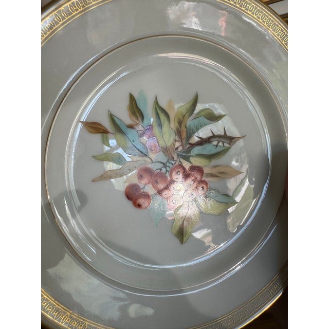 White Antique Holly Berry and Leaves Decorative Plate With Ornate Gold Trim For Sale - Image 8 of 8