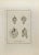 Hercules on Oil Lamp from "Antiquities of Herculaneum" is an etching on paper realized by Francesco Giomignani in the 18th...
