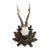 Roe Deer Trophy Black Forest Antlers 38 For Sale