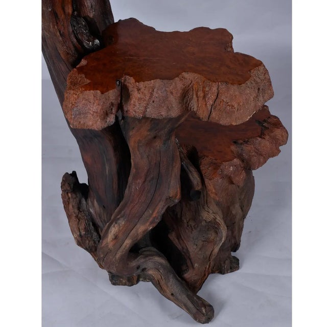 Large Rustic Live Edge Tree Trunk Plant Stand or Art Pedestal For Sale - Image 9 of 13