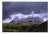 Paul Cooklin, Treeline, Edition of 50 For Sale
