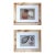 Pair of Framed ea Shell Photopraph Prints in White Matte and Burl Wood Veneer Frames For Sale