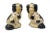 Vintage Staffordshire-Style Cavalier King Spaniel Ceramic Dog Figurines - Set of 2 For Sale - Image 11 of 11