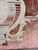 French Neoclassical-Style Embroidered Monogram Velvet Lumbar Pillow For Sale - Image 4 of 7