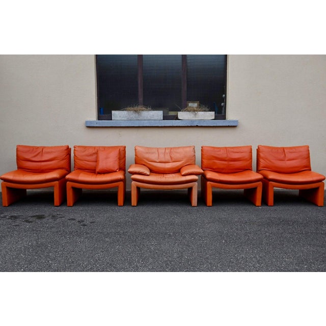 1970s Series 5 Lounge Chairs in Cognac Orange Leather, 1970s, Set of 5 For Sale - Image 5 of 18