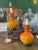 Gorgeous pair of mid century lamps, presented in an ombre orange crackle glaze, these lamps are on the smaller size, with...
