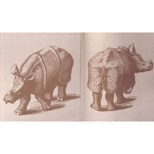White "The Rhinoceros: From Durer to Stubbs: 1515-1799" 1986 Clarke, T. H. For Sale - Image 8 of 9