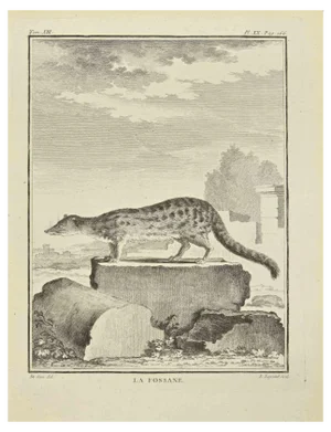 Louis Legrand, La Fossane, Etching, 1771