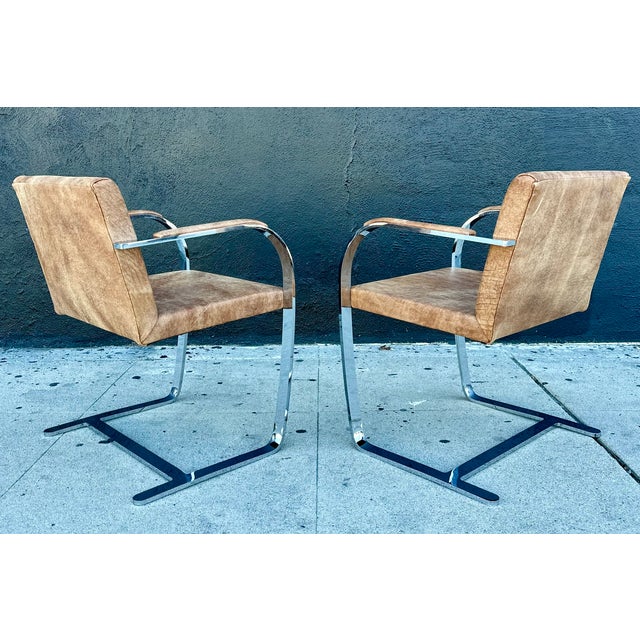 Bauhaus Mies Van Der Rohe Brno Flat Bar Chairs by Palazzetti For Sale - Image 3 of 9