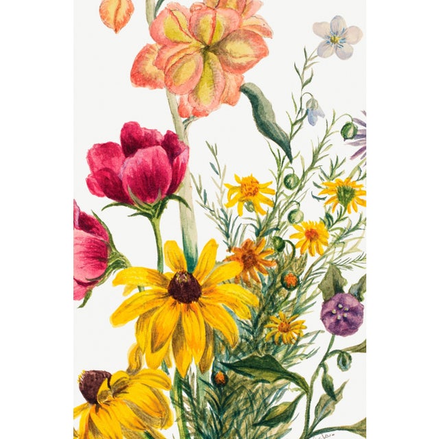 Not Yet Made - Made To Order Vintage Wildflowers Study, Botanical Art Print Reproduction, 20" X 30" For Sale - Image 5 of 9