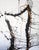 White Virginia Dutton Abstract Ink and Acrylic Painting, “Torso” 2015 For Sale - Image 8 of 10