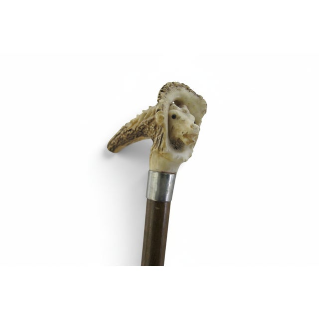 Reindeer Carved Stag Deer Antler Handle Antique Walking Stick Cane For Sale - Image 10 of 13