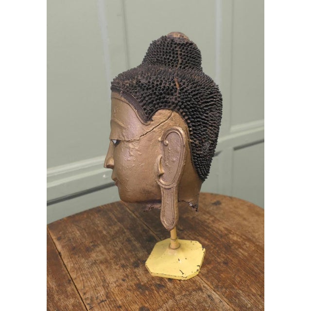 Burmese Buddha Head in Gilt Dry Lacquer For Sale - Image 3 of 9