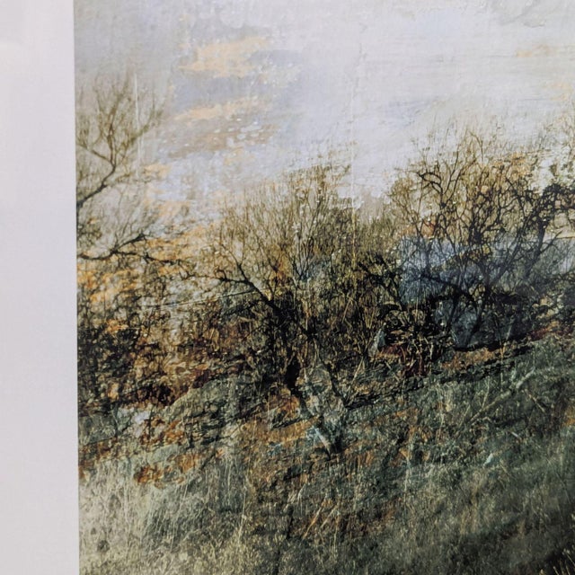 Crate & Barrel/Thea Schrack Framed Large Landscape Print Wall Art For Sale In San Francisco - Image 6 of 8