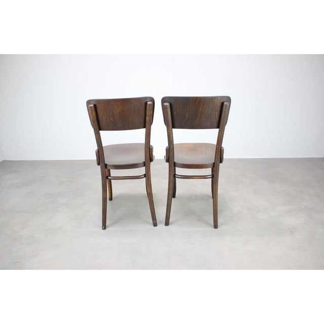 Bentwood Chairs from Thonet, Former Czechoslovakia, 1920s, Set of 2 For Sale - Image 9 of 15