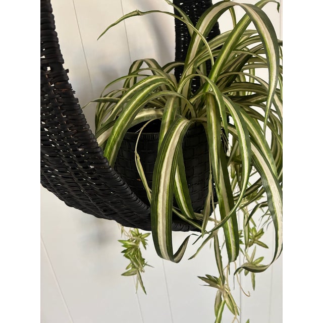 Textile 1970s Hanging Swag Silk Fern in Black Basket For Sale - Image 7 of 10